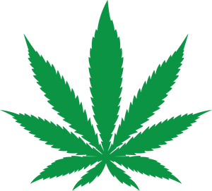 Cannabis Leaf Illustration